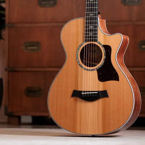 次世代Taylor Guitars
